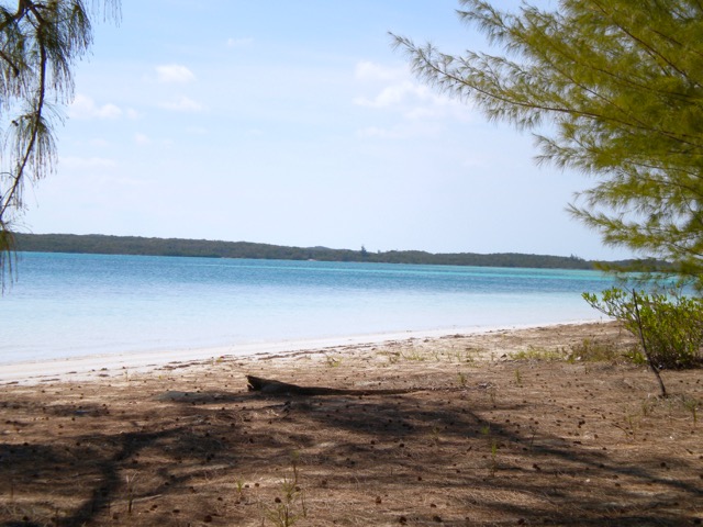 Half Sound Beach